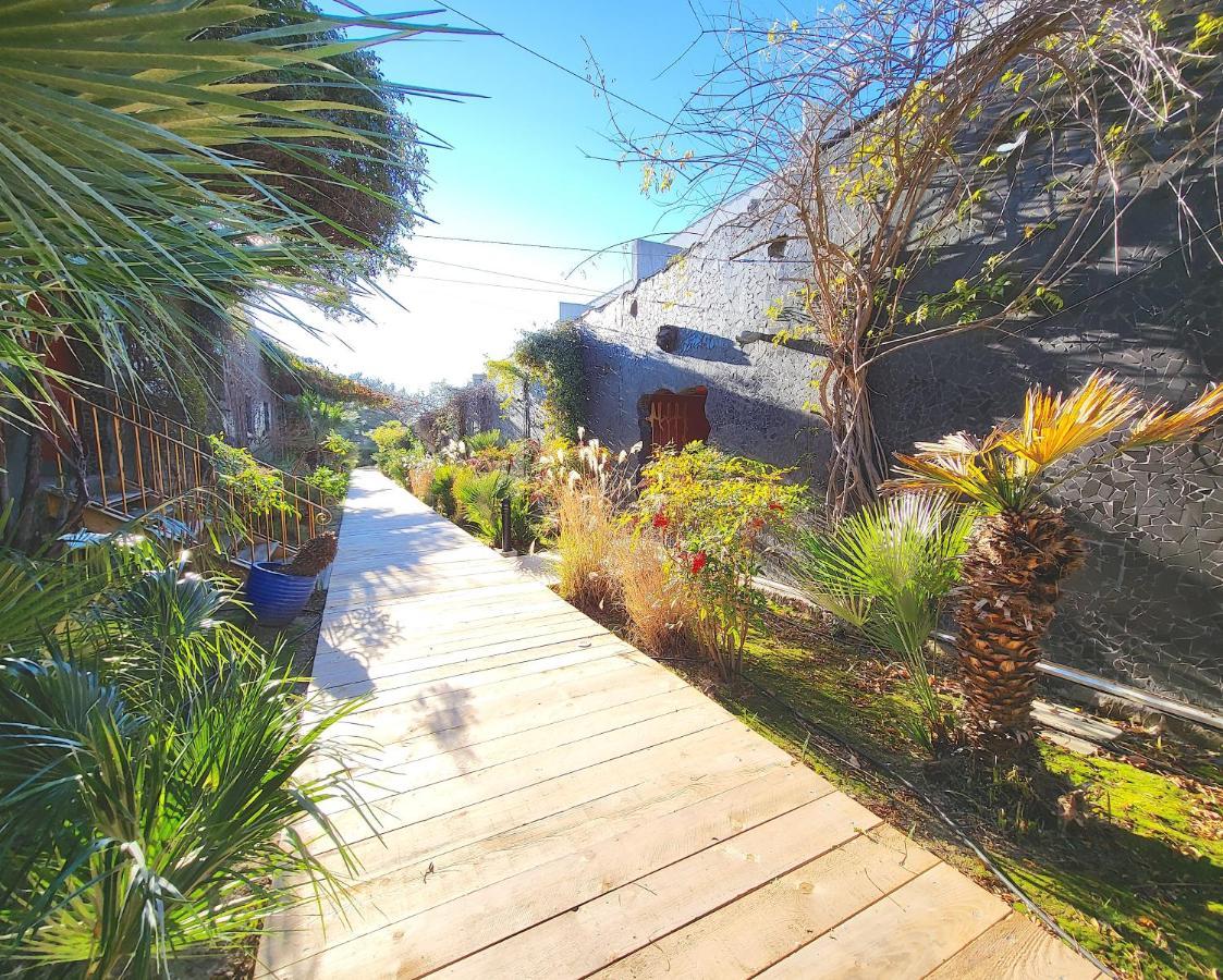 Bandol - Residence Premium Jardin, Piscine Et Garage Exteriér fotografie